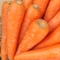 carrot is names of vegetables in english