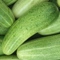 name of the vegetable in english is cucumber