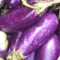 different shapes eggplant