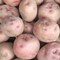 red potato is name of the vegetable in english