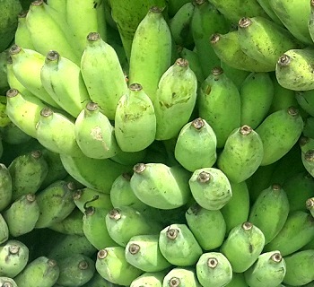 Bangla Banana is a Bangladeshi fruit