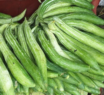 Common names of the vegetable include snake gourd, serpent gourd, chichinda and padwal.